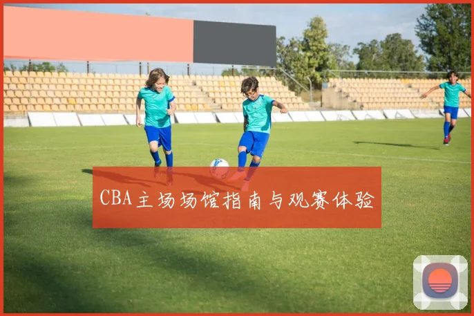 CBA主场场馆指南与观赛体验