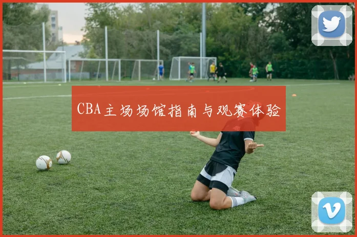 CBA主场场馆指南与观赛体验