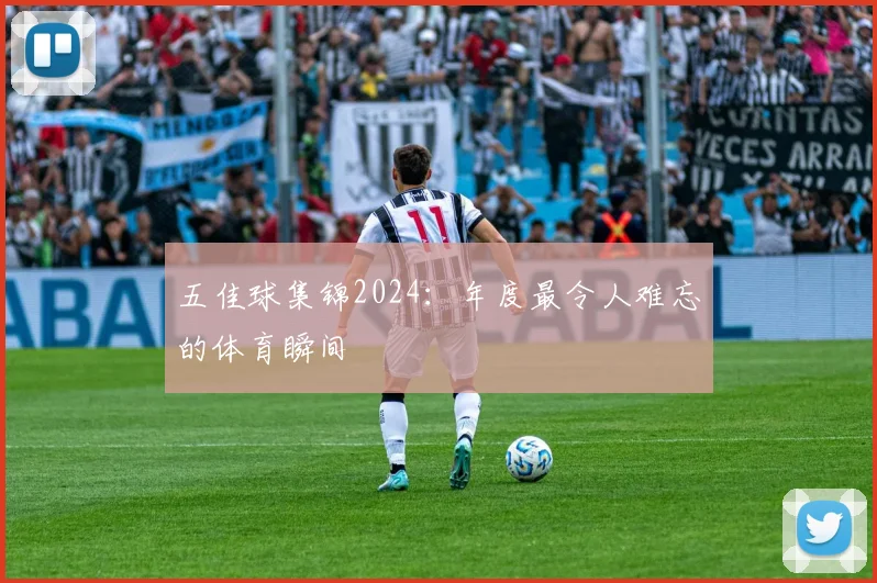五佳球集锦2024：年度最令人难忘的体育瞬间
